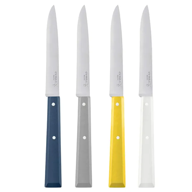 opinel-bo-te-de-4-couteaux-de-table-n-125-bon-app-tit-c-leste-lame-inox-lisse-11 image 1