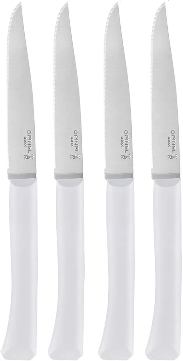 opinel-coffret-4-couteaux-de-table-bon-app-tit-nuage-lame-inox-micro-dent-e-11-c image 1