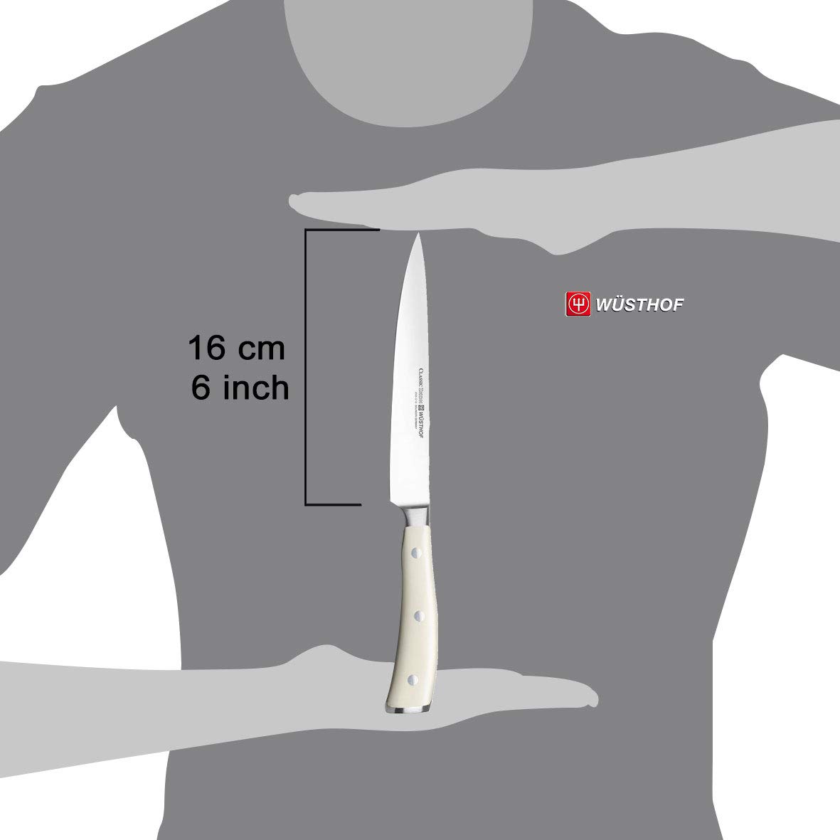 w-sthof-classic-ikon-cr-me-tranchelard-16-cm-couteau-jambon-forg-pour-tranches-f image 4