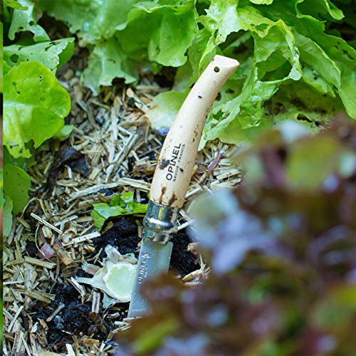opinel-couteau-de-jardin-n-08-lame-inox-8-cm-manche-h-tre-verni-bague-de-s-curit image 5