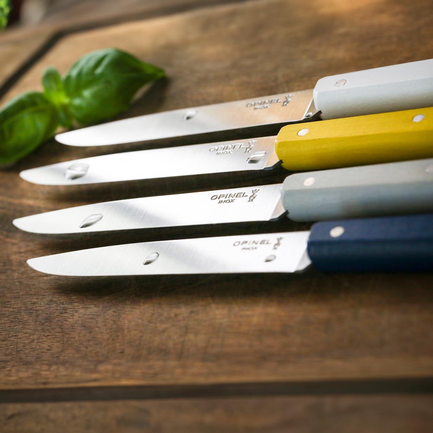 opinel-bo-te-de-4-couteaux-de-table-n-125-bon-app-tit-c-leste-lame-inox-lisse-11 image 5