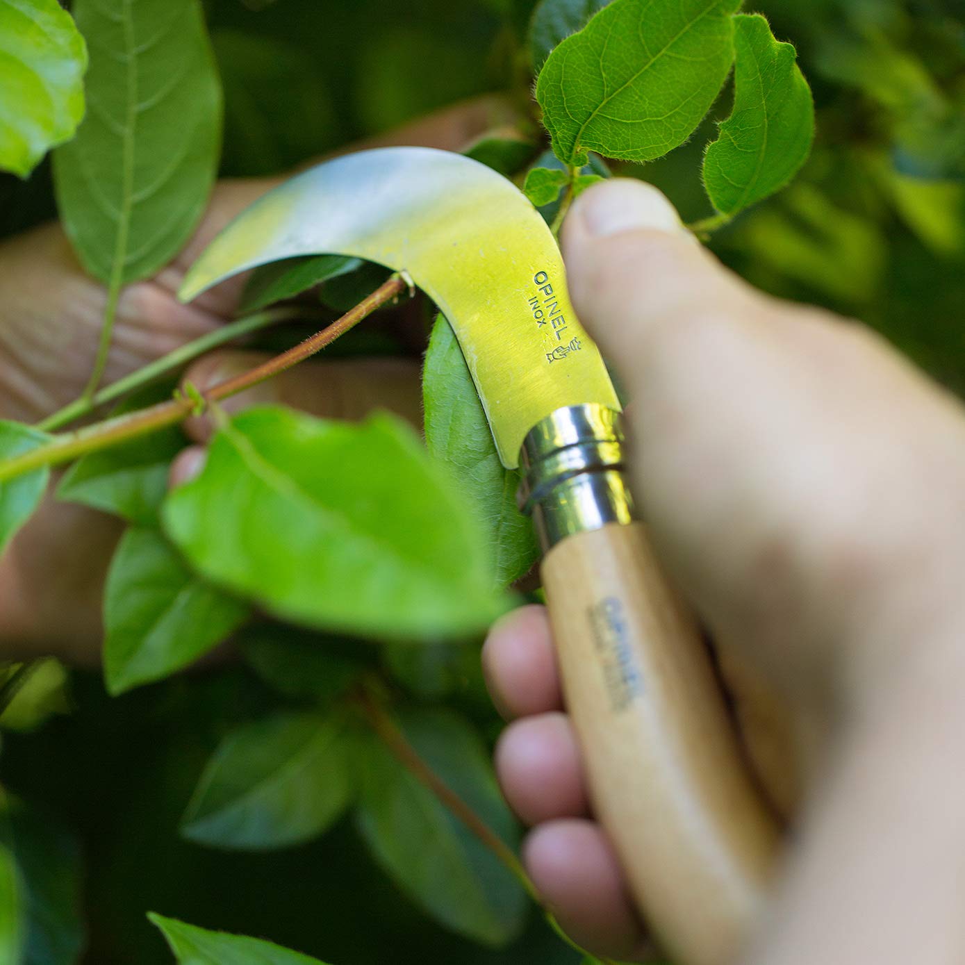 opinel-serpette-de-jardin-n-10-lame-courb-e-inox-bague-virobloc-manche-h-tre image 4