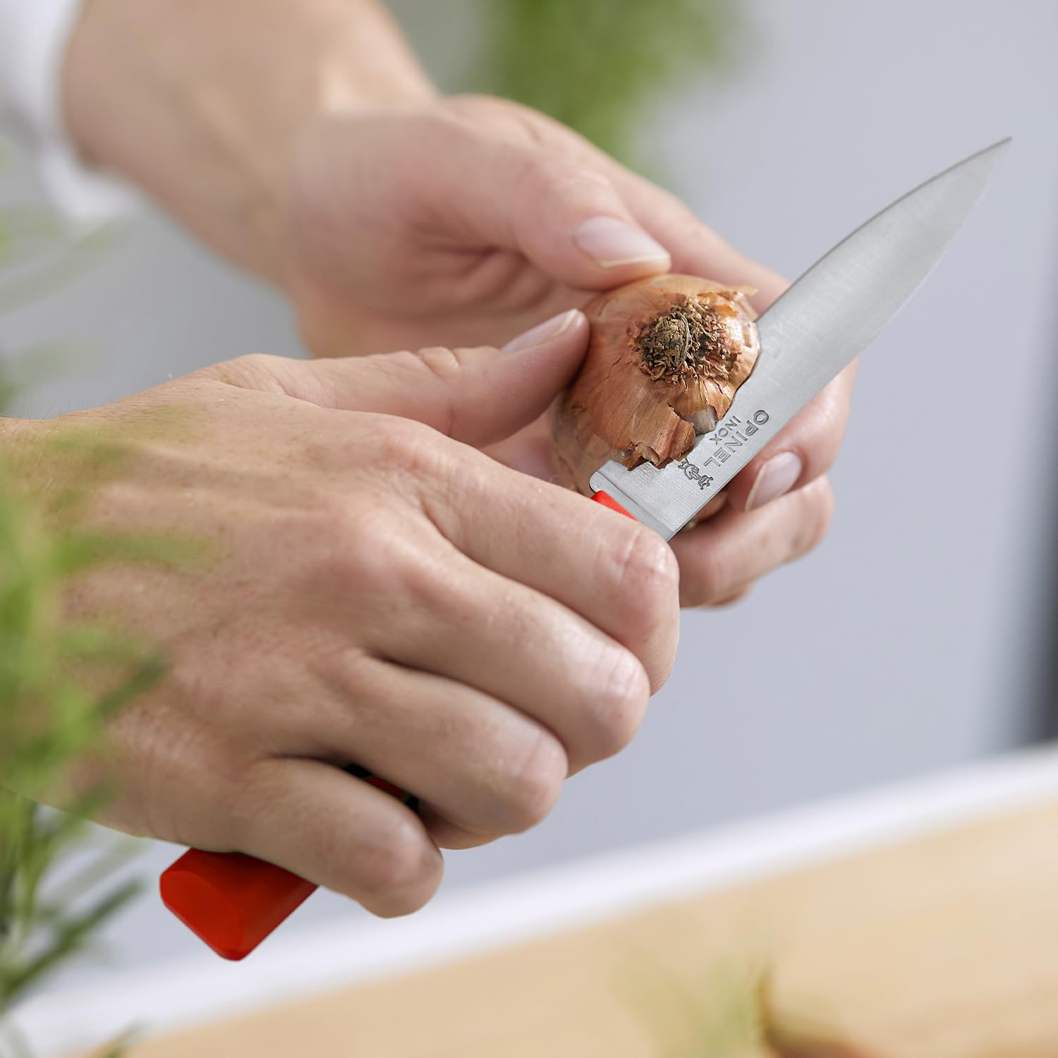 opinel-n-312-couteau-d-office-de-cuisine-les-essentiels-lame-acier-inoxydable-10 image 4