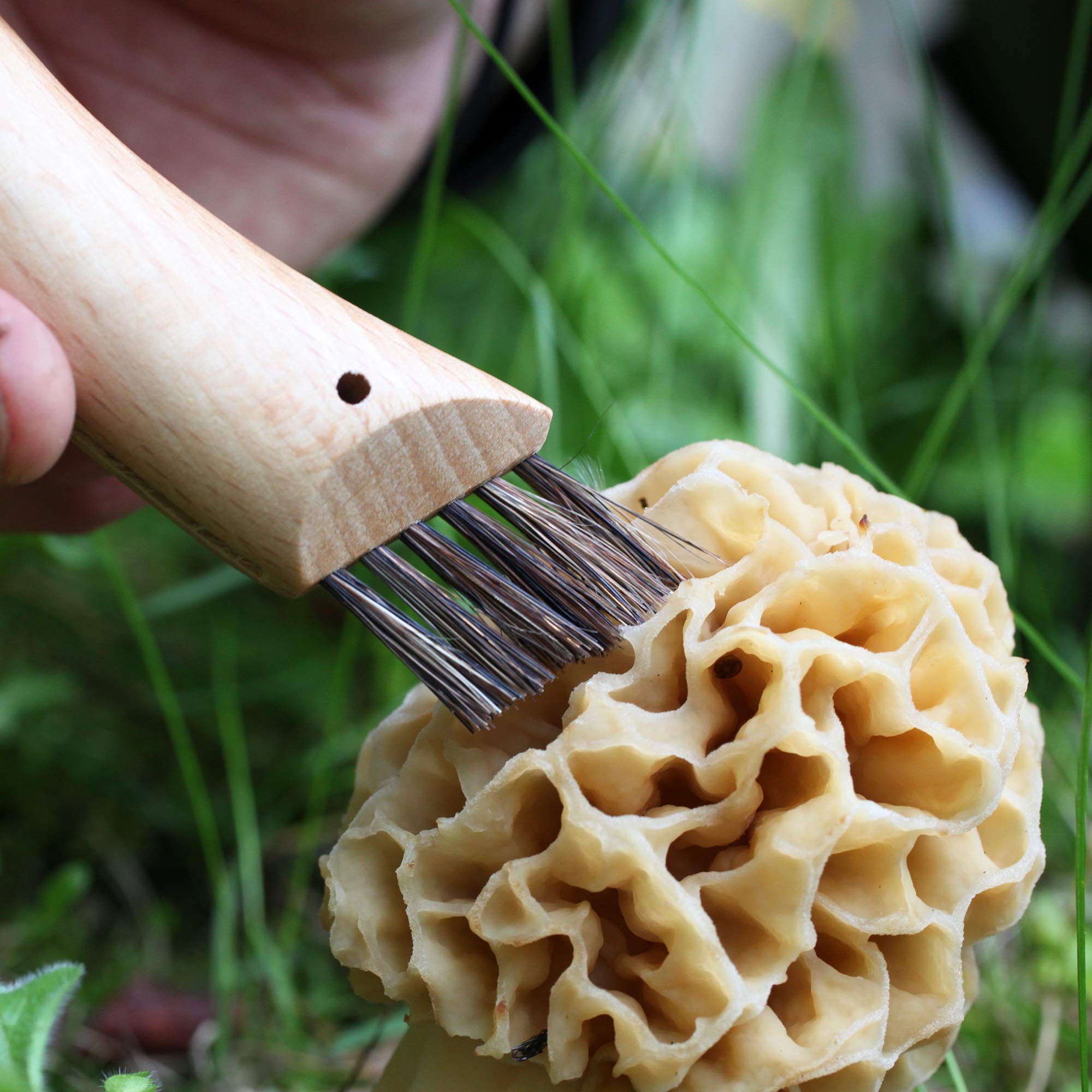 opinel-couteau-champignons-n-08-lame-crant-e-8-cm-avec-brosse-soies-de-sanglier- image 6