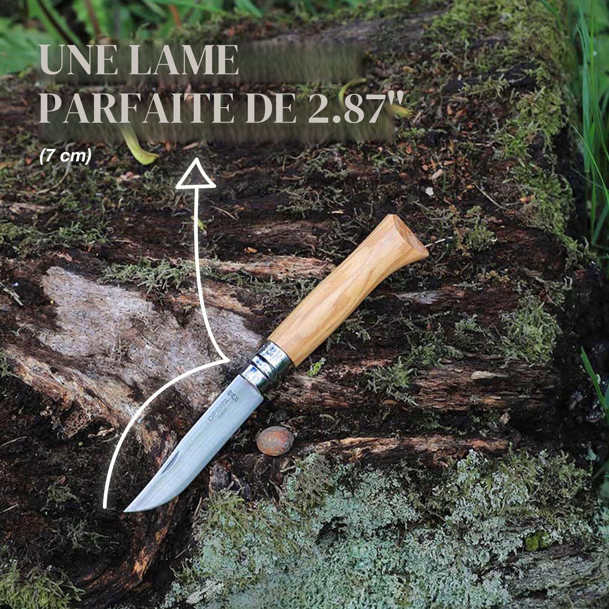 opinel-n-06-luxe-olivier-couteau-de-poche-pliant-lame-inox-7-cm-manche-bois-d-ol image 3