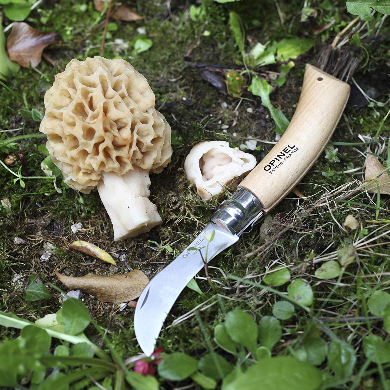 opinel-n-08-champignon-couteau-champignons-lame-inox-8-cm-manche-ch-ne-brosse-po image 6