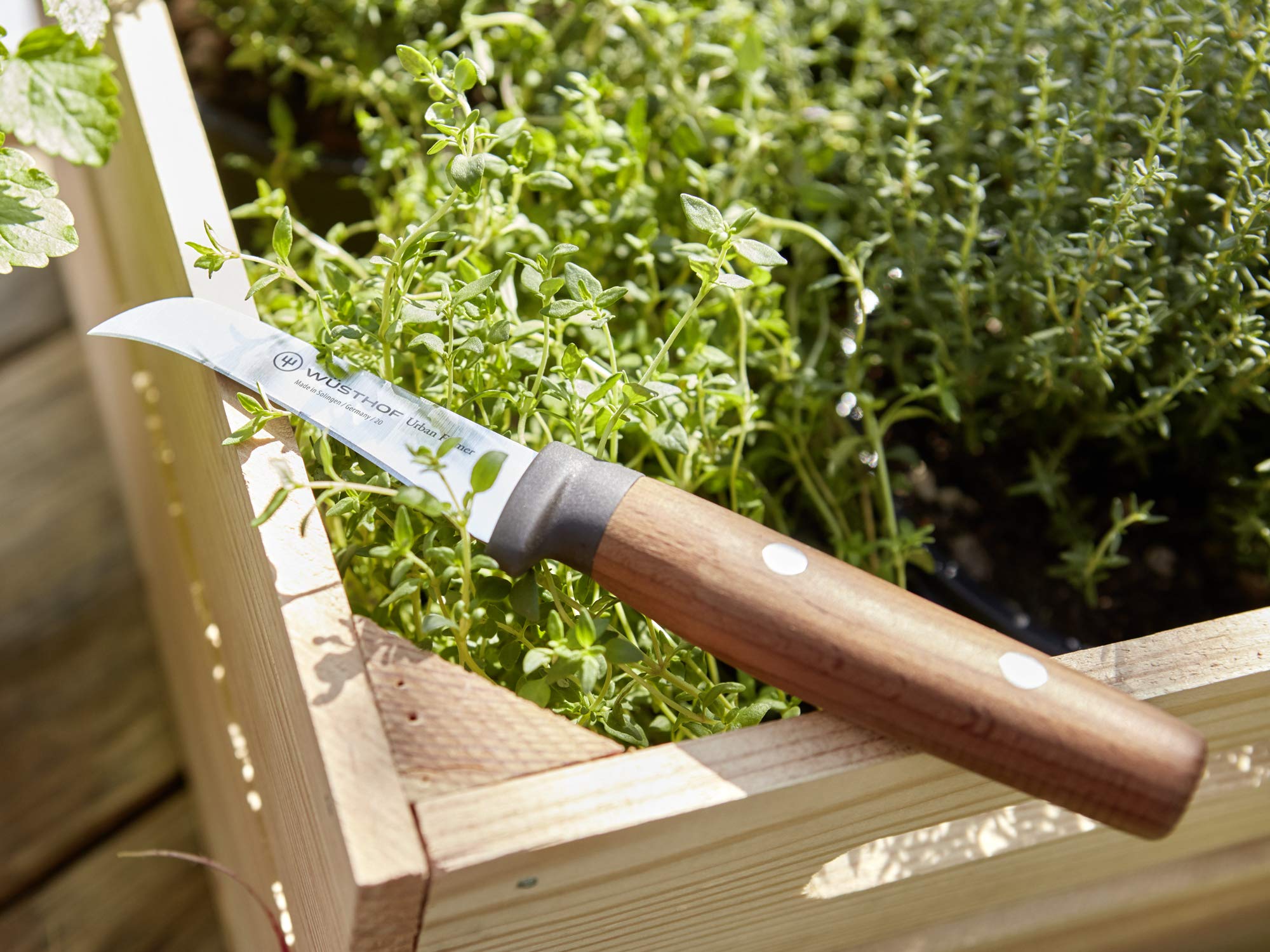 w-sthof-urban-farmer-couteau-serpette-8-cm-petite-lame-courb-e-pour-plucher-et-t image 7