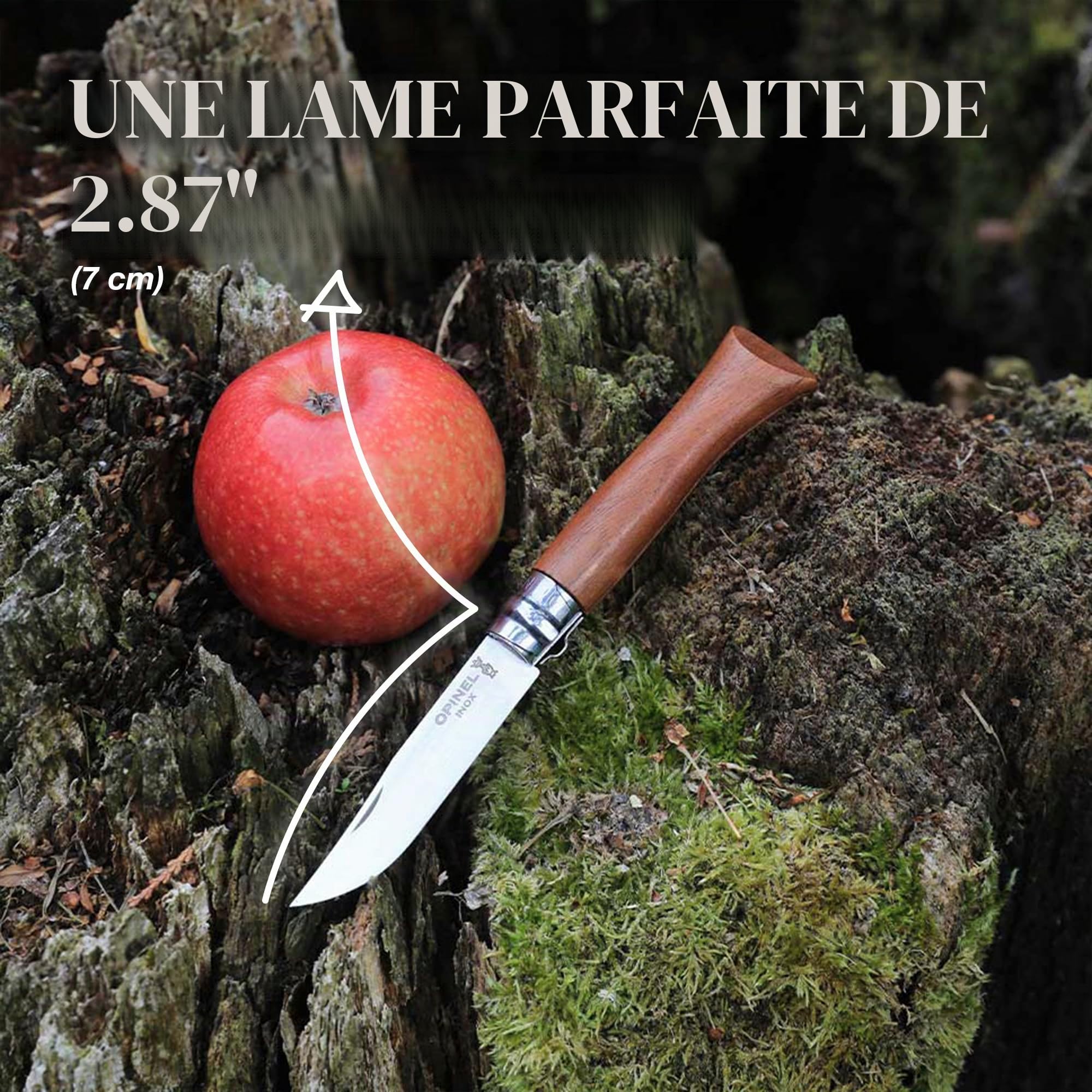 opinel-inox-lux-noyer-couteau-de-poche-pliant-lame-acier-inoxydable-manche-noyer image 3