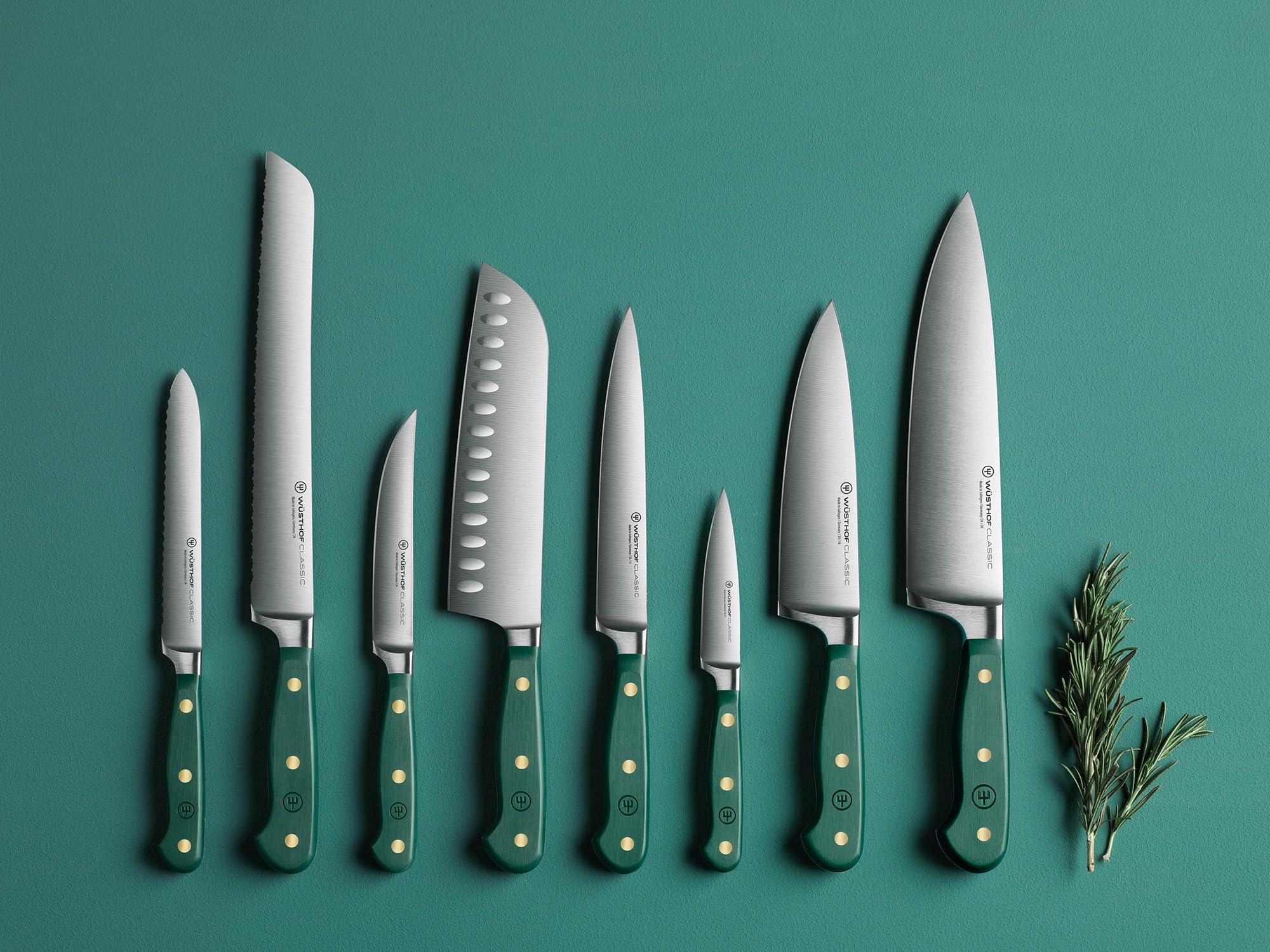 w-sthof-classic-tranchelard-14-cm-lame-crant-e-fresh-rosemary-forg-solingen-manc image 5