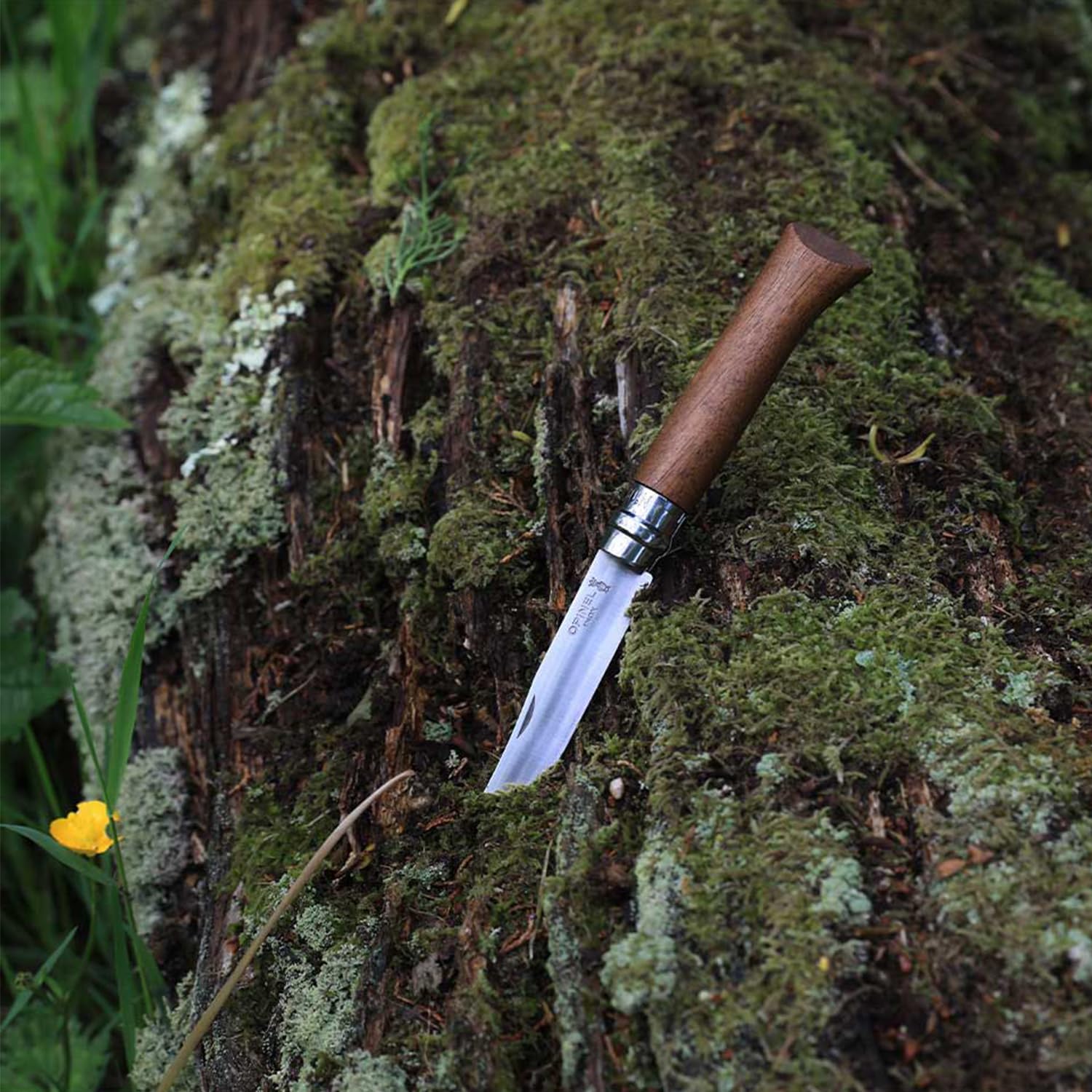 opinel-inox-lux-noyer-couteau-de-poche-pliant-lame-acier-inoxydable-manche-noyer image 6